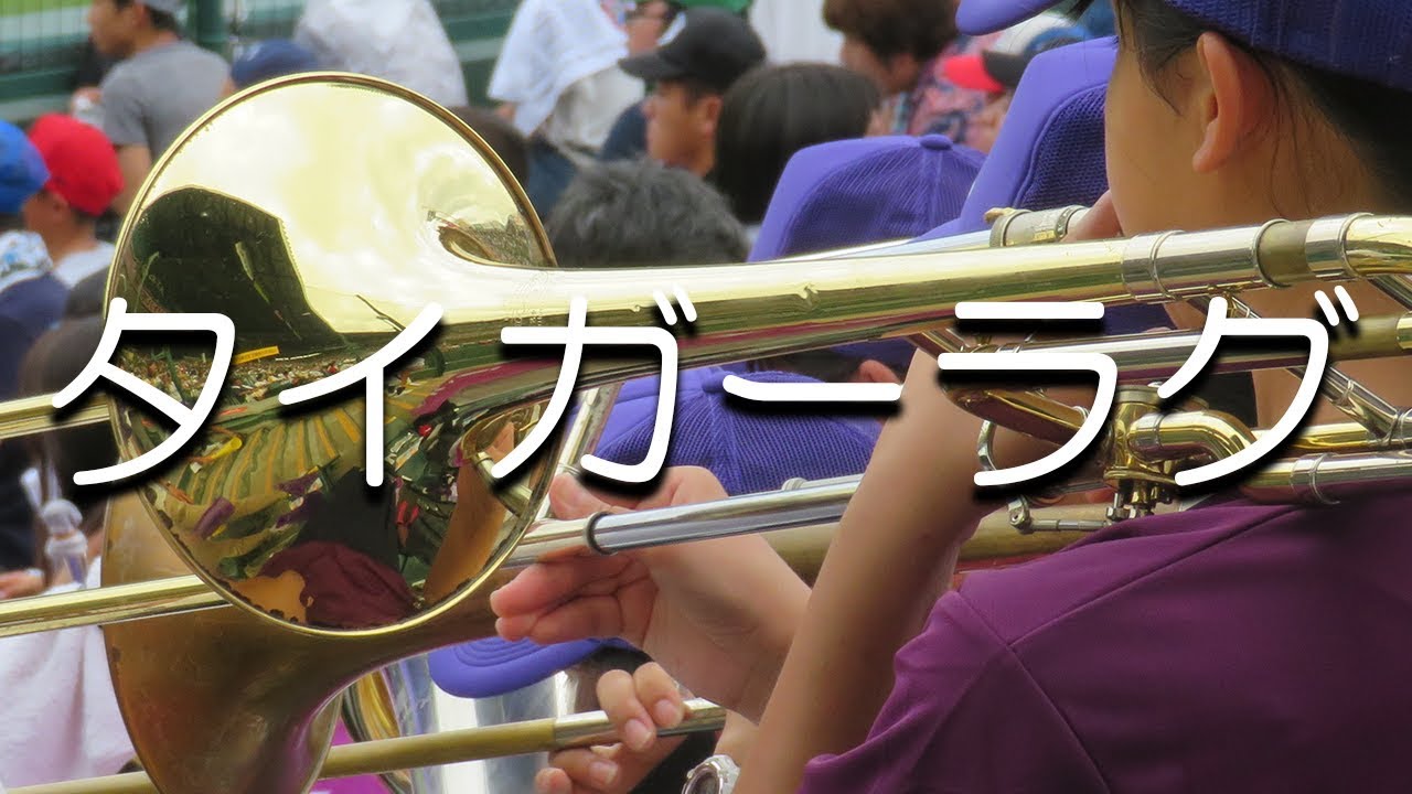 金足農 タイガーラグ 9回サヨナラver チャンステーマ 応援歌 2018夏 第100回 高校野球