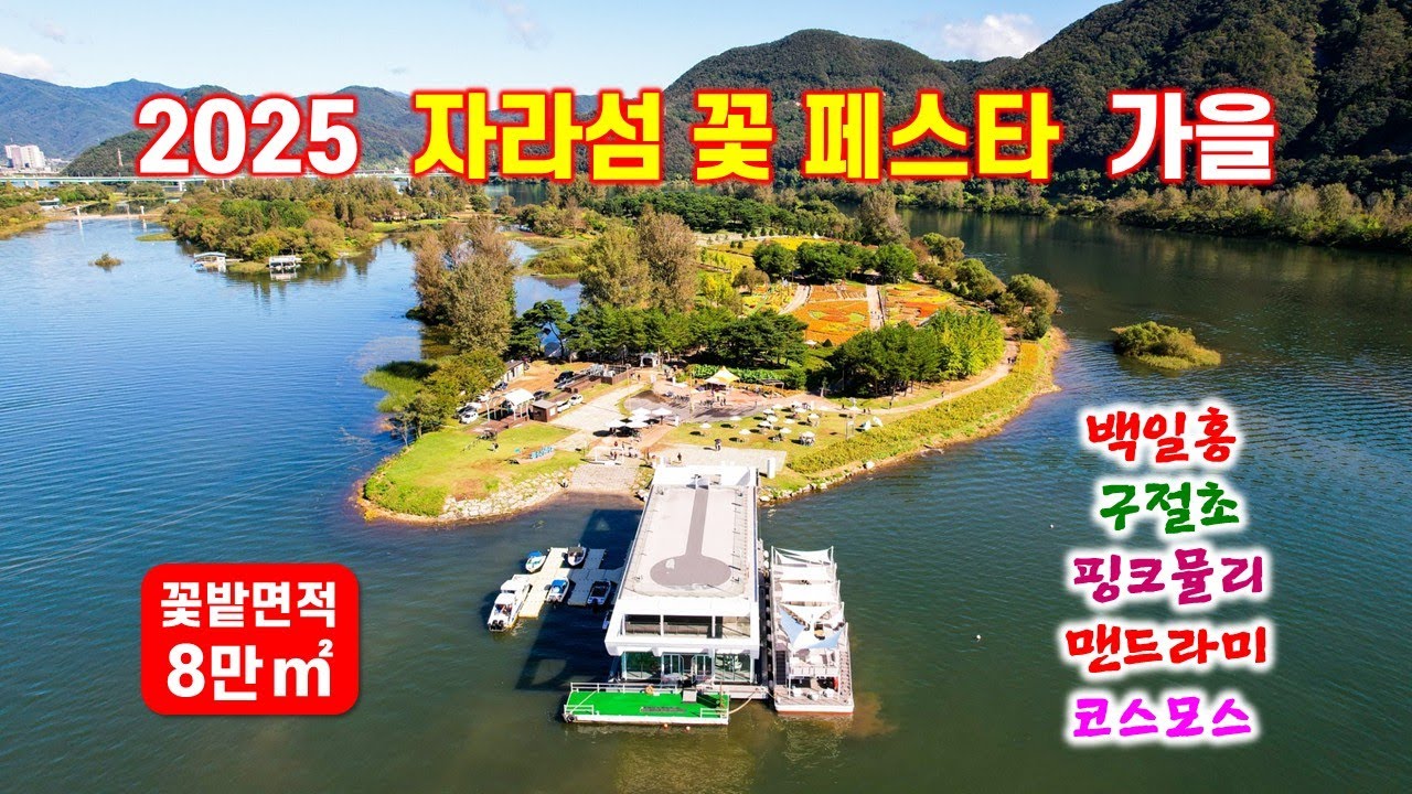 가평 자라섬 꽃 페스타(가을꽃축제) - 여행다큐 해산강TV