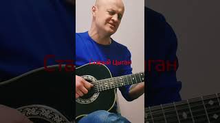 Анатолий Топыркин - "Старый Цыган" #гитара #music #cover #музыка #guitar #russiancover #кавер #песня