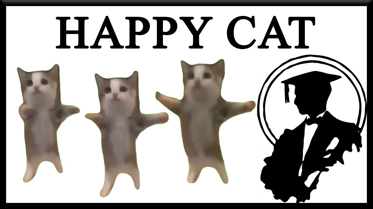 Happy happy cat песня. Кошка Хэппи Хэппи. Хэпи хэпи кошка. Happy Happy Cat meme. Кот Хэппи Хэппи Хэппи Мем.