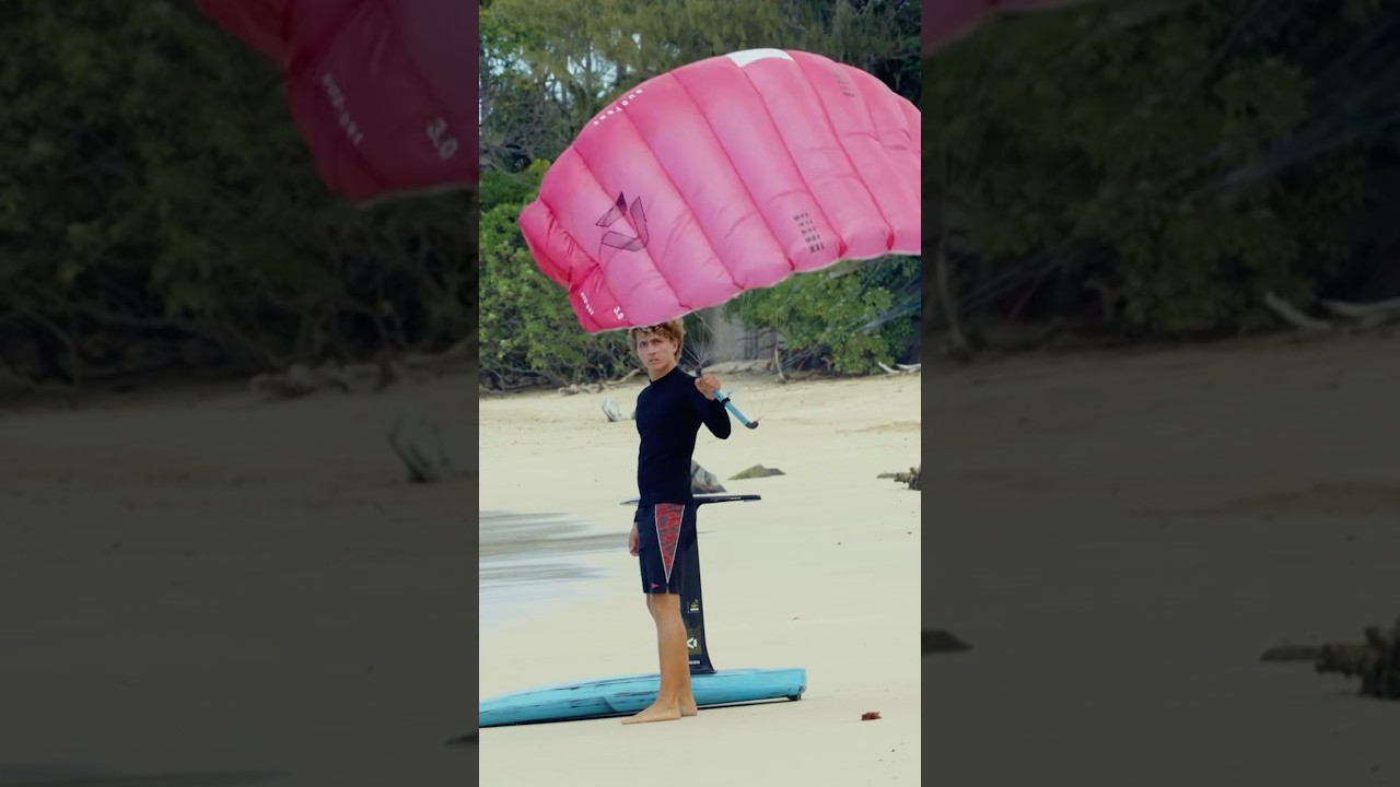 COMING SOON: STASH Parawing