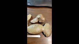 Arrowheads? STONE AXES? TOMAHAWKS? SCRAPERS? CELTS? INDIAN RELICS?  NATIVE AMERICAN TOOLS? Help ID