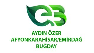 Aydın ÖZER Afyonkarahisar/Emirdağ-Buğday