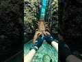 in the sea a man caught very mysterious thing 🤫#trending #sea #viralvideo