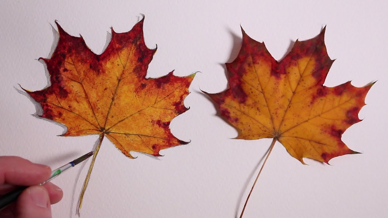 How to Draw a Autumn Leaf: Realism Challenge #1 - YouTube