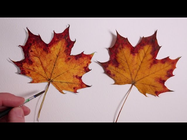 How To Draw An Autumn Leaf Step By Step 🍁 Leaf Drawing Easy - YouTube