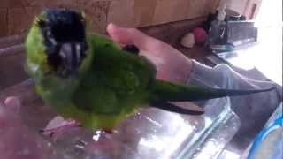 Angel Taking A Bath