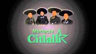Video thumbnail of "Misa Mariachi  New York   Gloria (914) 912-1497"