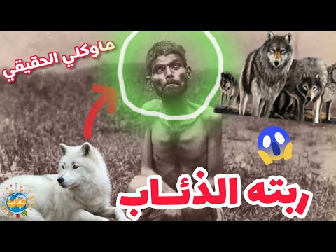 فيديو: من الذي ربته الذئاب؟