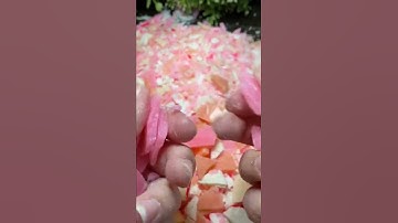 Zote Soap Plates💗💗💗 #asmr #trending #soap #cutting #zote #shorts #fys #breaking #zotesoap #crunch