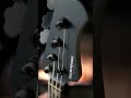 Soame Custom Basses / PJ420 Grey Metallic Gloss