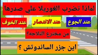 اين القلزم بمصر | اين جزرالساندوتش#معلومات_متنوعة#أسرار_المعلومات