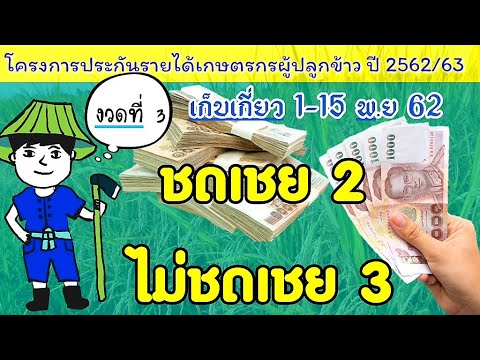 โครงการประกันรายได้เกษตรกรผู้ปลูกข้าวปี 2562/63 (งวดที่ 3) ชดเชย 2 ไม่ชดเชย 3 เก็บเกี่ยว 115 พ.ย 62