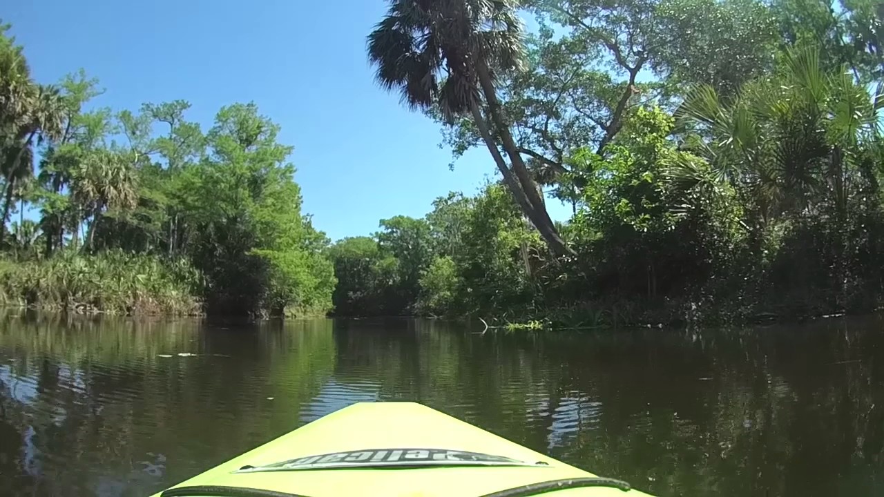 Kayaking Riverbend Park / Loxahatchee May 7, 2017 YouTube