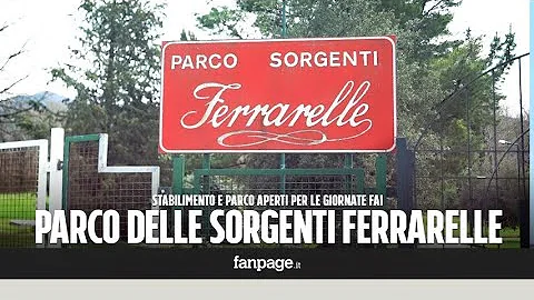 Chi è il proprietario di Ferrarelle?
