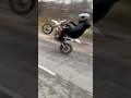 ай тигр 🐅 #automobile #bike #bikelife #дпс #питбайк #enduroskills #стант #stunt