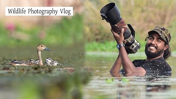 Wildlife Photography Vlog 36 | Behind the scenes wildlife photography | lesser whistling duck |#vlog