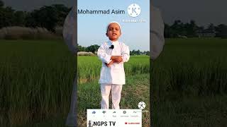 Quran Recitation Really beautiful//Surah An-Nasr By Mohammad Asim#NGPS TV#shorts