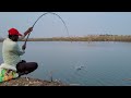Unique fishing style  fisher man catching in big rohu fishes