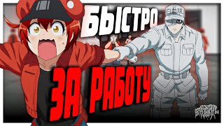 видео: АНИМЕ КАК УРОК БИОЛОГИИ | Клетки за работой картинка: АНИМЕ КАК УРОК БИОЛОГИИ | Клетки за работой