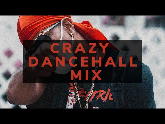 Dj Puffy -  2021 Crazy Dancehall Party Mix (Vybz Kartel, Dexta Daps, Shenseea) class=