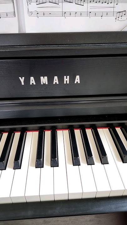 difference-between-quarter-and-half-notes-piano-for-beginners-youtube