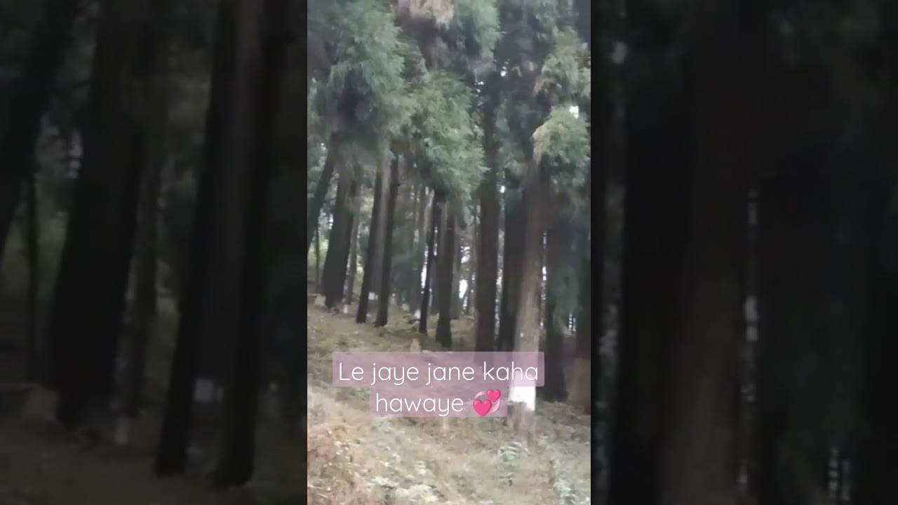 Ek Danta Ganpati Ganeshji Ganesha - Hindi Status Tube