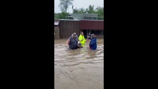 Animals rescued from flooded St. Clair County Animal Control (Part 2)