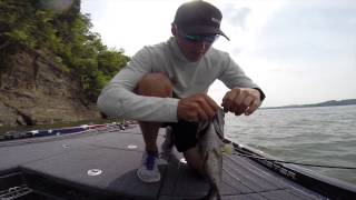 Bassmaster Open Douglas Lake
