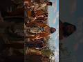 Hosana Hosana Palm Sunday 13 April 2025 Hosana Hosana Palm Sunday 13 April 2025