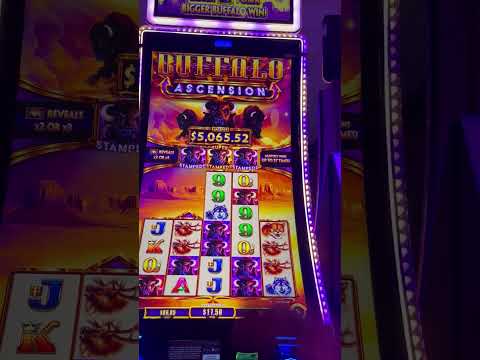 "Africa" Toto & Men at Work@Hard Rock Casino Atlantic City 8/1/25