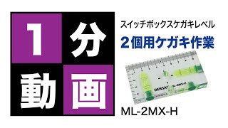 スイッチボックスケガキレベル（2個用・半面タイプ）　ML-2MX-H
