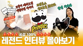 반려동물을 키우고 있다면 무조건 봐야하는 레전드 영상 1순위