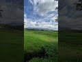 Suasana sawah pedesaan