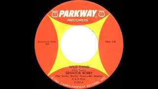 1967 HITS ARCHIVE: Wild Thing - Senator Bobby (Bill Minkin) (mono 45) Resimi