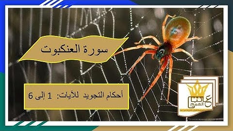 سورة العنكبوت: شرح احكام التجويد للآيات من  من 1 الى 6