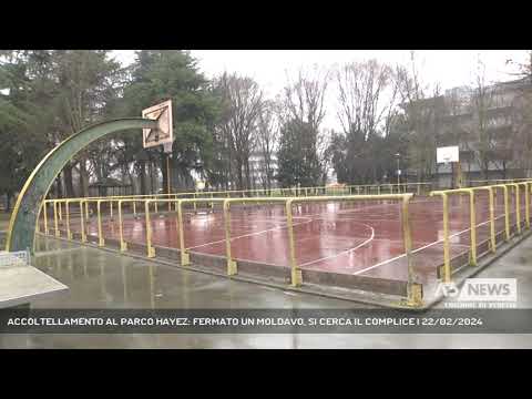 ACCOLTELLAMENTO AL PARCO HAYEZ: FERMATO UN MOLDAVO, SI CERCA IL COMPLICE | 22/02/2024