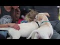 Unchained Melodies Charity Puppy Yoga