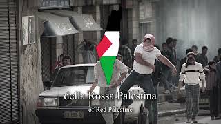 &quot;Rossa Palestina&quot; - Italian Pro-Palestinian Song