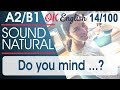 14100 Do you mind...? Разговорный английский язык: 100 популярных английских фраз   OK English