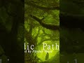 Nicolas Vasin (original) - Celtic Music - Druidic Path