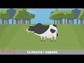 Ciao belli! Учить итальянский язык легко по видео. Урок 15. Тема "Домашние животные"