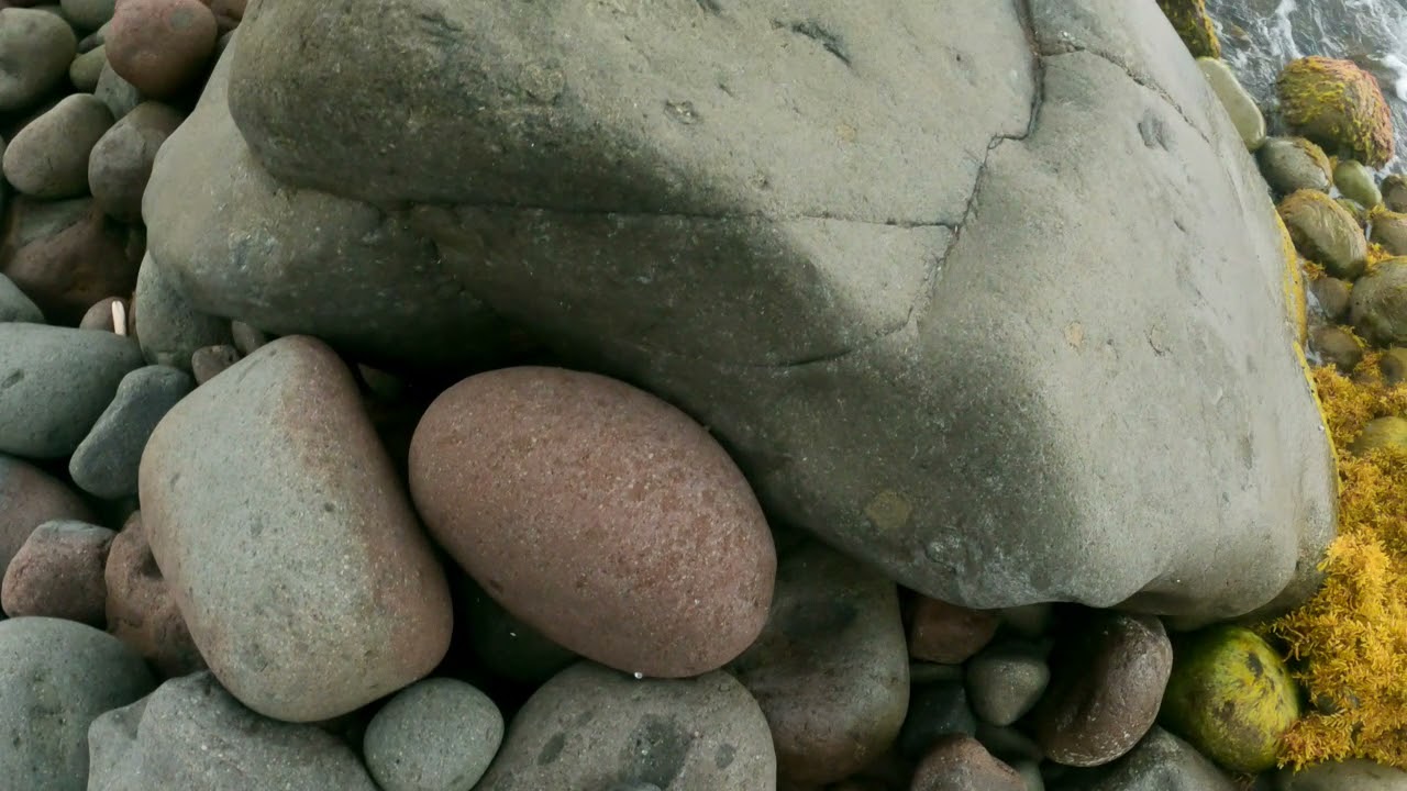 The Ladder Bay Journey, The Bottom, Saba, Dutch Caribbean