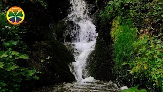 Расслабляющий Горный Ручей | Чистый Звук Воды [Источник]