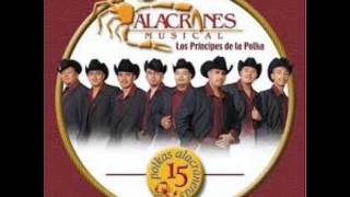 Alacranes Musical Corazon de texas