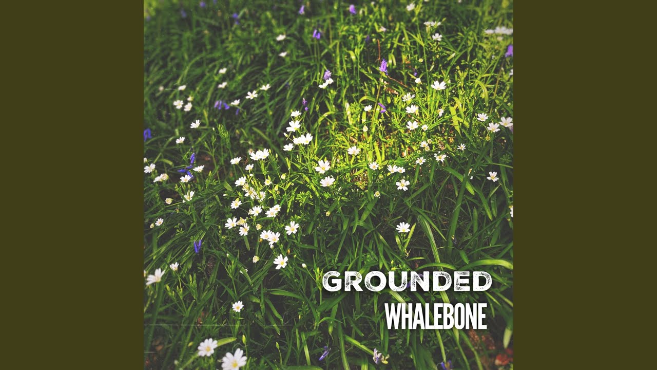 Guarda Grounded su YouTube Guarda Grounded su YouTube
