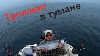 видео: Троллинг в тумане картинка: Троллинг в тумане