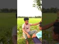 ডাকাত স্যার #funny #comedy #vairalshorts