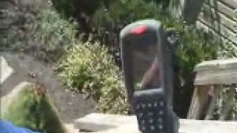 Datalogic Falcon 4400 Reliability - Sand Test