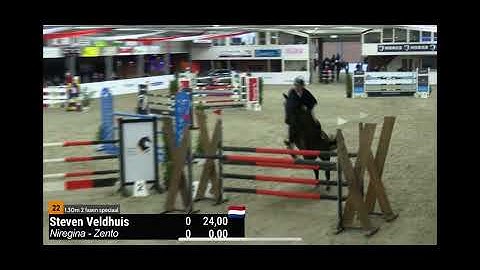 Niregina - 2018 mare by Zento out of Iregina (father unknown) - 1.30m class Mariënheem